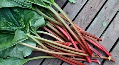 Sorrel untuk mengeluarkan parasit dari badan