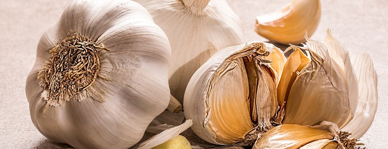 bawang putih melawan cacing