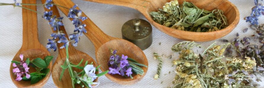 gabungan persediaan herba terhadap cacing